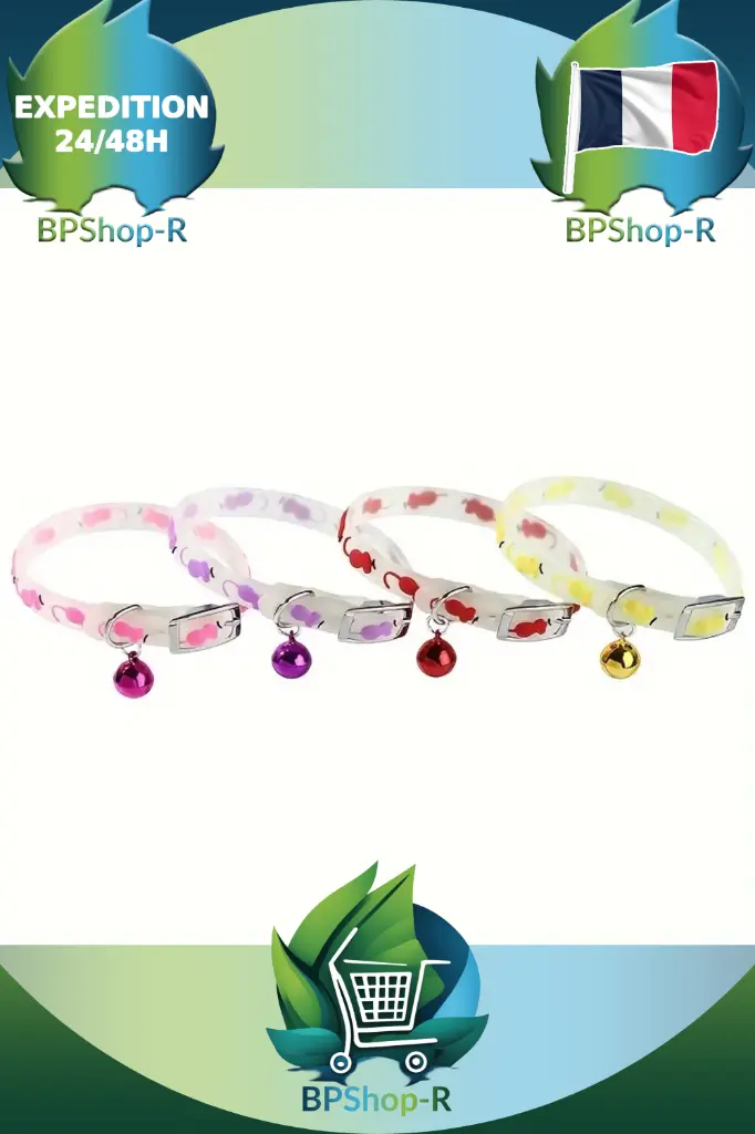 cadre_article1 (2).webp