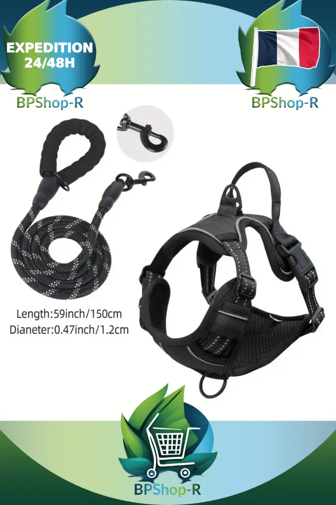 cadre_article (8).webp