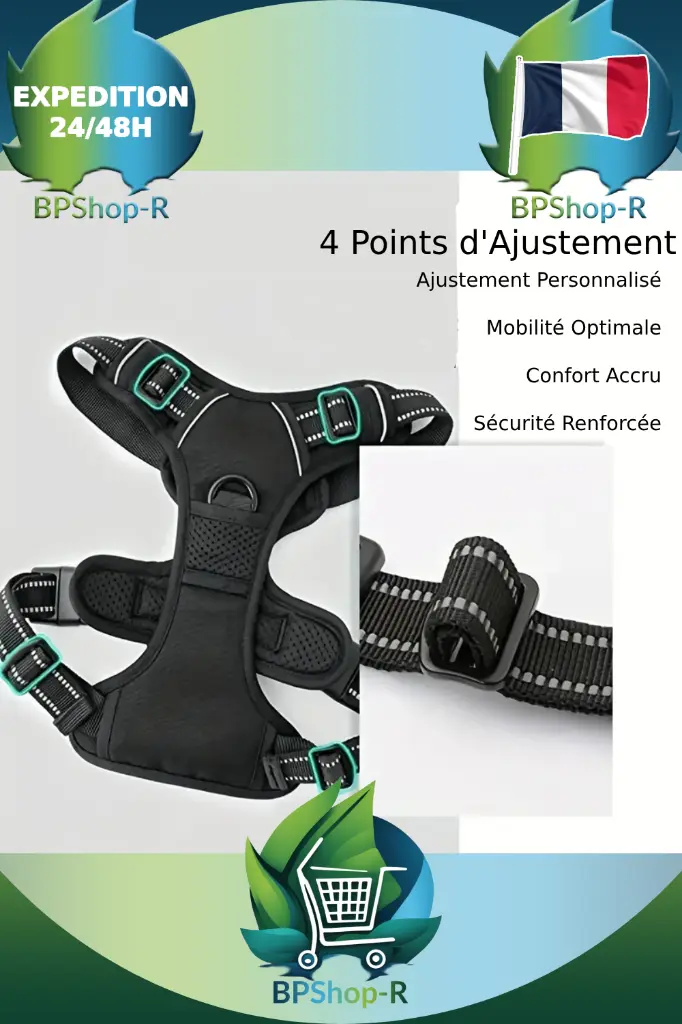 Harnais et Laisse (2).webp