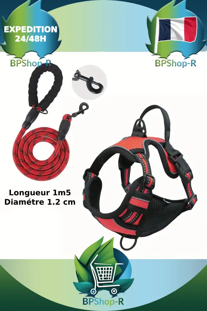 Harnais et Laisse (6).webp