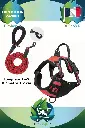 Harnais et Laisse (6).webp