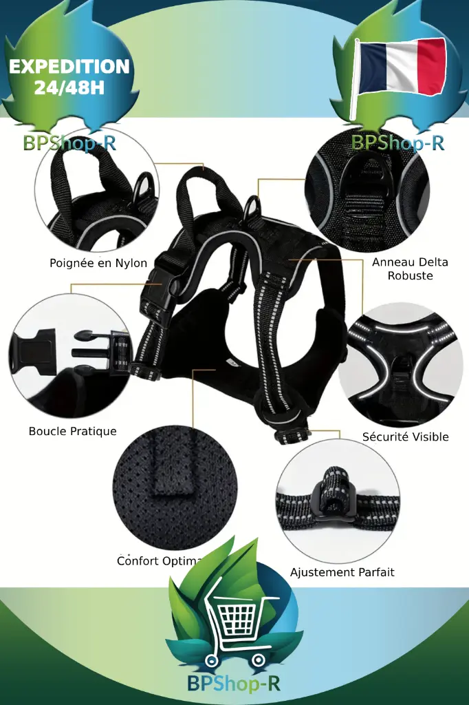 Harnais et Laisse (1).webp