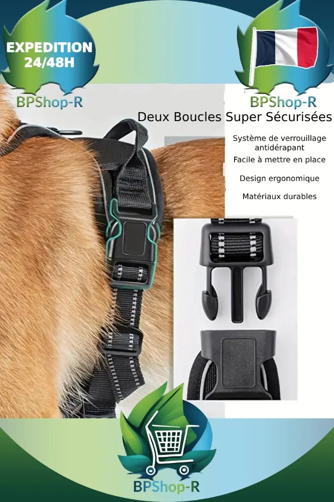 Harnais et Laisse (3).webp