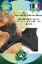 Harnais et Laisse (4).webp