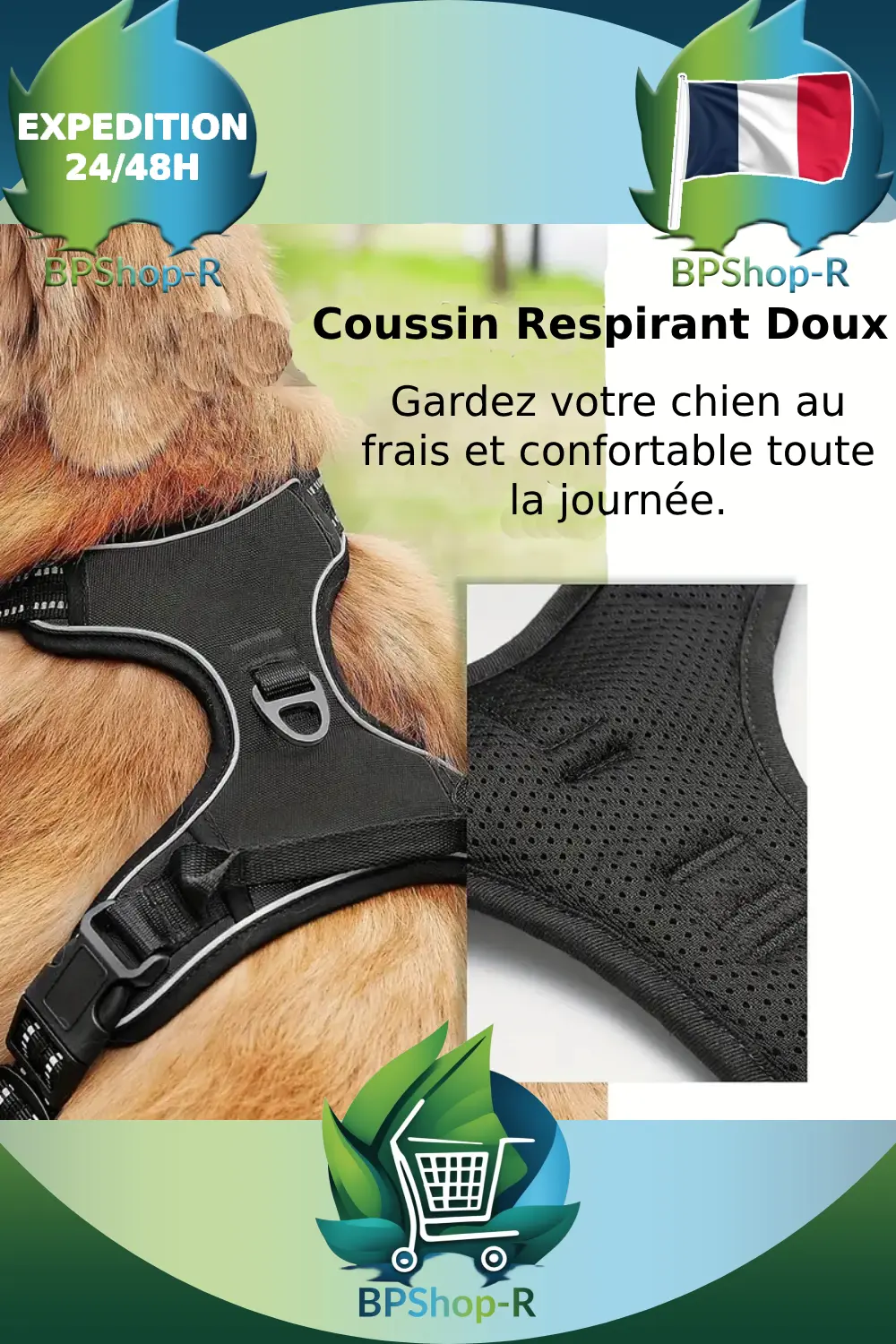 Harnais packshot complet