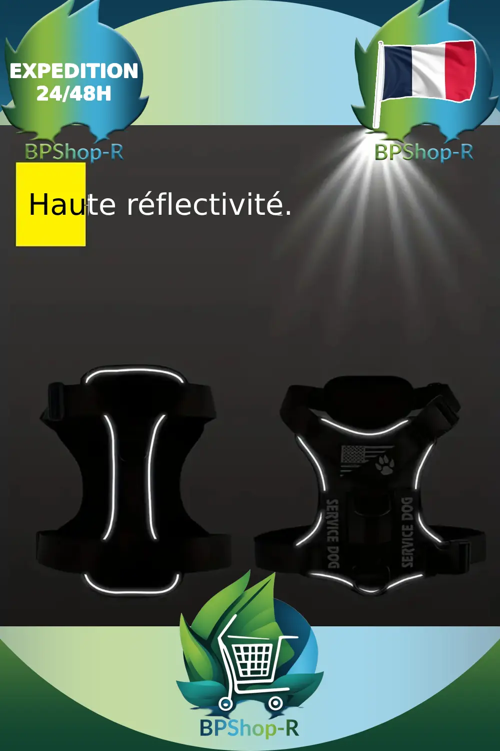 Harnais réfléchissant vue dos