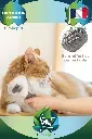 Peigne Délicatement pour Chien et Chat (2).webp