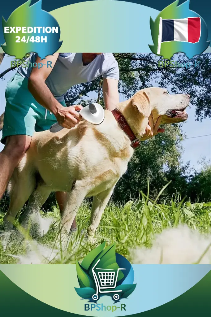 Peigne Délicatement pour Chien et Chat (4).webp