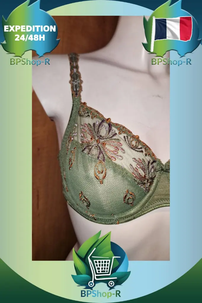 cadre_article3 (3).webp