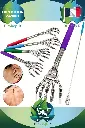Gratte-dos (1).webp