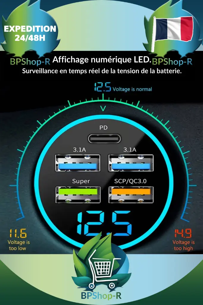 chargeur voiture (2).webp