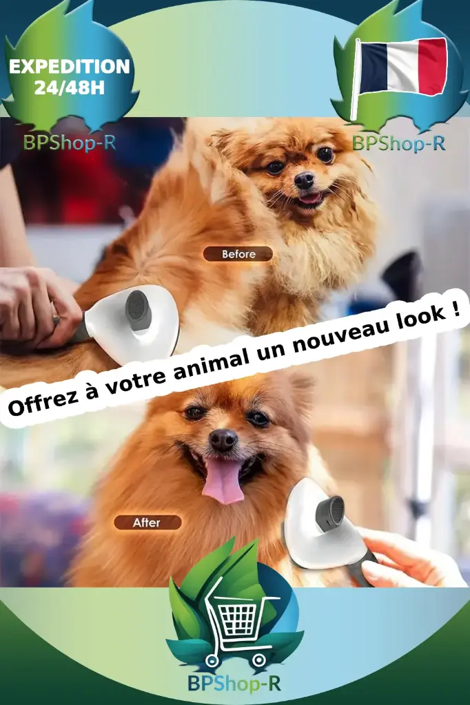 Peigne Démêlant Autonettoyant pour Chien et Chat : Le secret d’un pelage soyeux