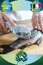 Désécaillez vos poissons en un clin d'œil avec notre outil magique !