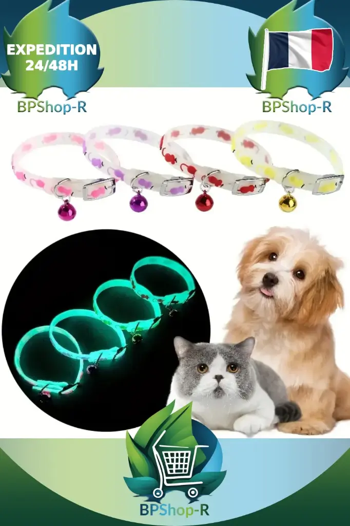 Collier phosphorescent pour Chat et Chien : Sécurité et Style en Une