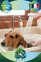 Rallonge de Robinet Multifonction : Bain d'Animaux, Lavage de Cheveux et Plus