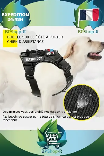 Harnais de Chien Réfléchissant et Confortable : Sécurité et Style pour vos Balades
