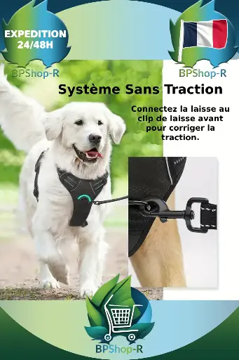 Harnais Anti-Traction Taille L : Le Compagnon Idéal pour les Promenades
