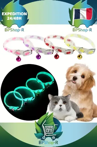 Collier phosphorescent pour Chat et Chien : Sécurité et Style en Une