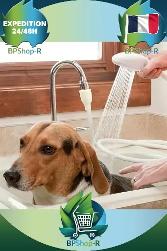 Rallonge de Robinet Multifonction : Bain d'Animaux, Lavage de Cheveux et Plus